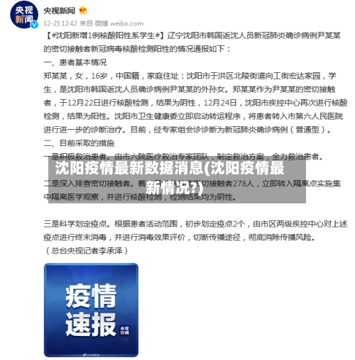 沈阳疫情最新数据消息(沈阳疫情最新情况?)-第2张图片