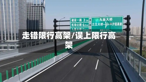 走错限行高架/误上限行高架