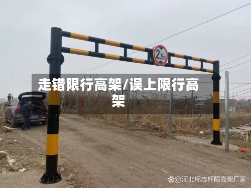 走错限行高架/误上限行高架-第3张图片