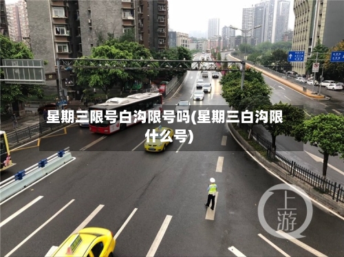 星期三限号白沟限号吗(星期三白沟限什么号)-第2张图片