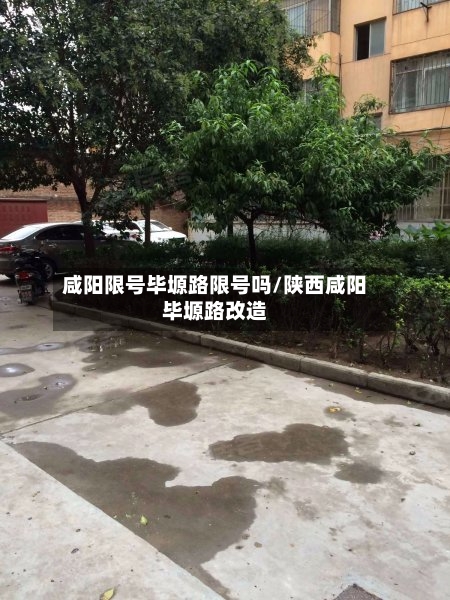 咸阳限号毕塬路限号吗/陕西咸阳毕塬路改造