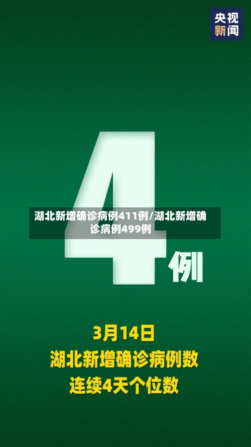 湖北新增确诊病例411例/湖北新增确诊病例499例