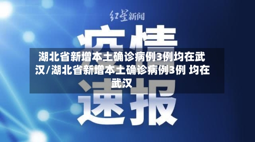 湖北省新增本土确诊病例3例均在武汉/湖北省新增本土确诊病例3例 均在武汉
