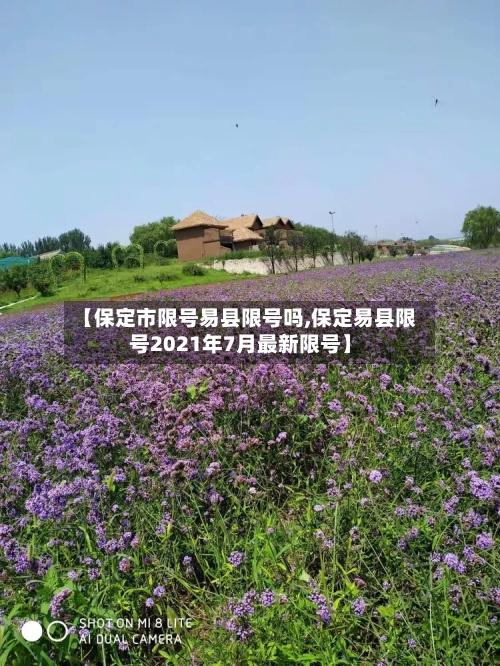 【保定市限号易县限号吗,保定易县限号2021年7月最新限号】