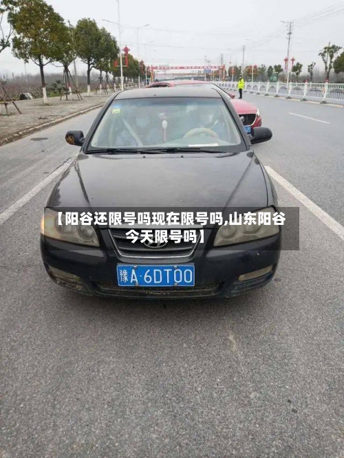 【阳谷还限号吗现在限号吗,山东阳谷今天限号吗】-第2张图片