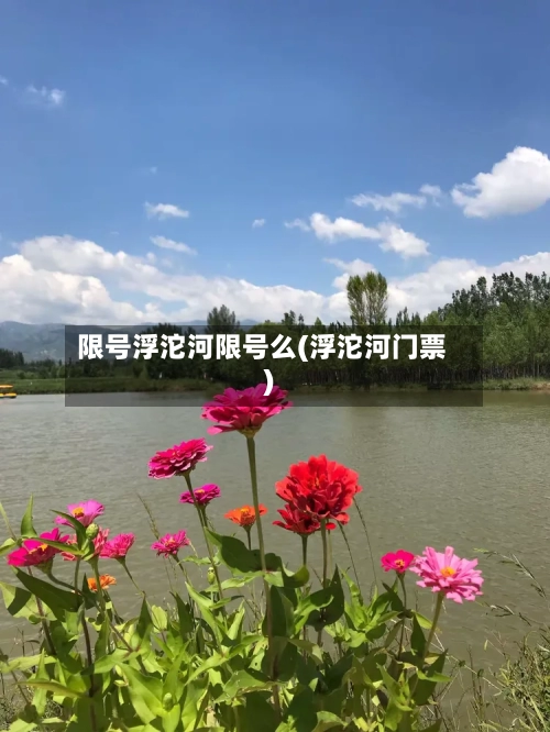 限号浮沱河限号么(浮沱河门票)-第3张图片