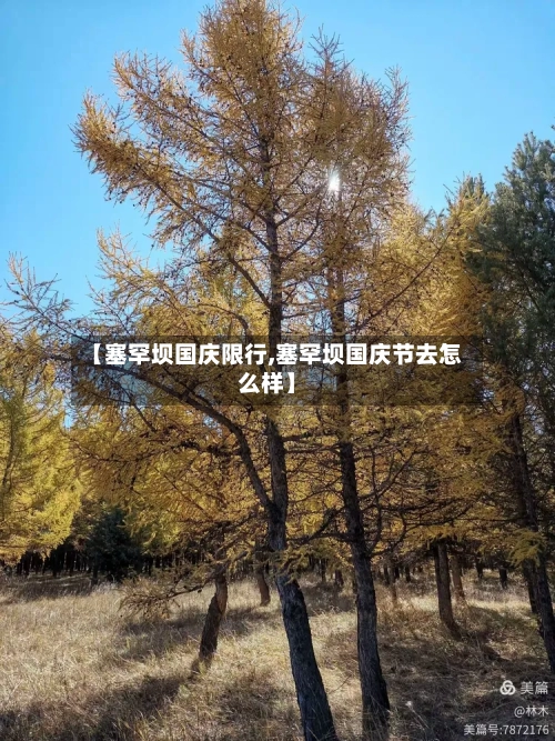 【塞罕坝国庆限行,塞罕坝国庆节去怎么样】-第3张图片