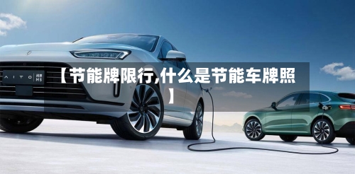 【节能牌限行,什么是节能车牌照】-第3张图片