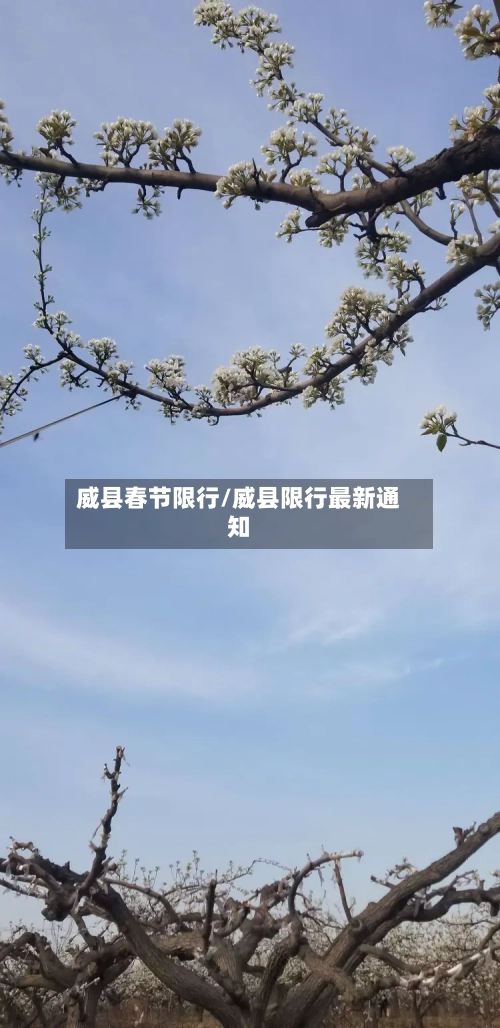 威县春节限行/威县限行最新通知