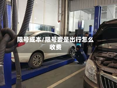 限号成本/限号要是出行怎么收费-第2张图片