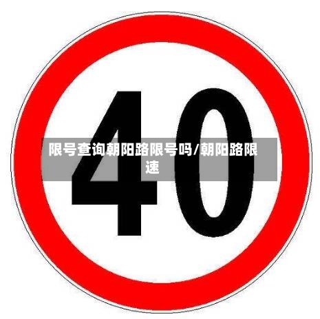限号查询朝阳路限号吗/朝阳路限速-第2张图片