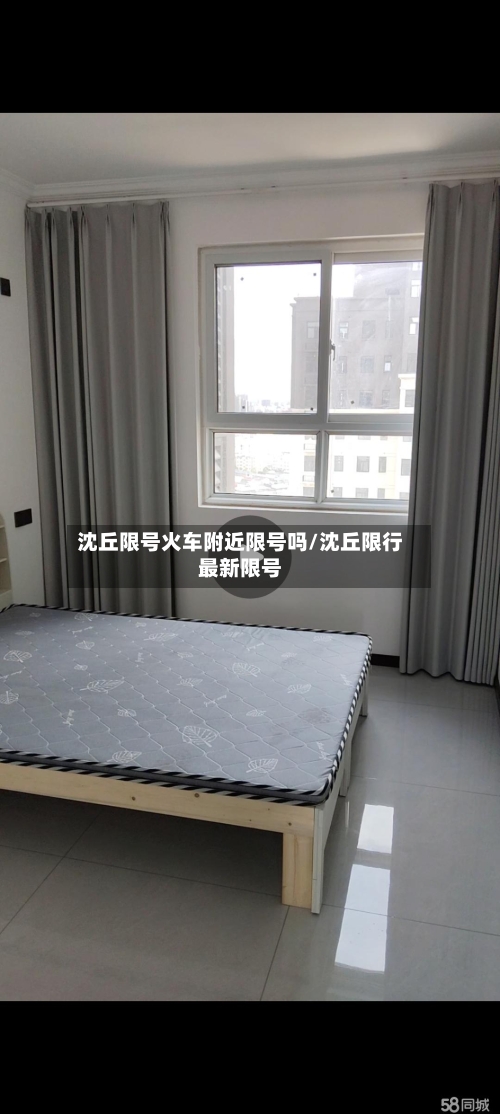 沈丘限号火车附近限号吗/沈丘限行最新限号-第3张图片