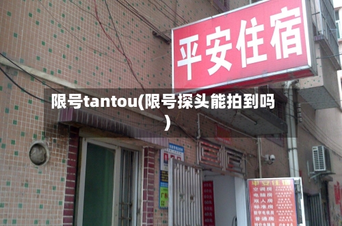 限号tantou(限号探头能拍到吗)