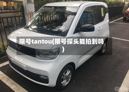 限号tantou(限号探头能拍到吗)-第2张图片