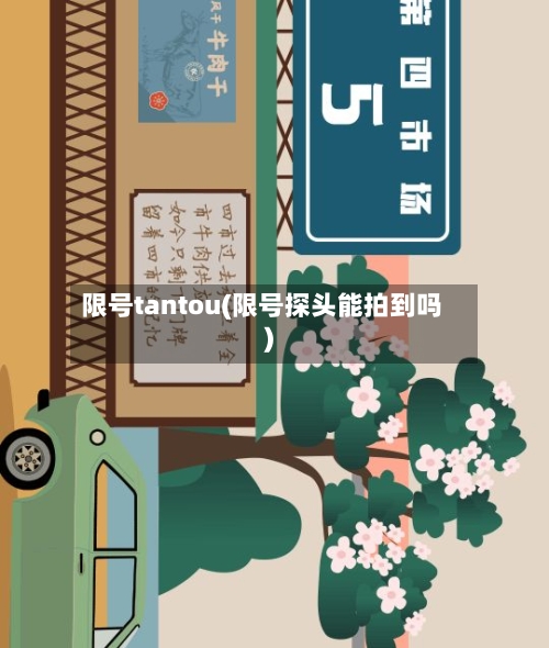 限号tantou(限号探头能拍到吗)-第3张图片