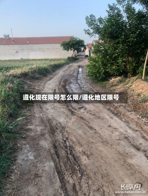 遵化现在限号怎么限/遵化地区限号-第2张图片