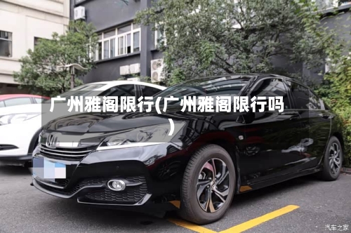 广州雅阁限行(广州雅阁限行吗)