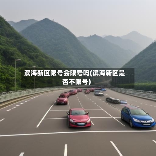 滨海新区限号会限号吗(滨海新区是否不限号)