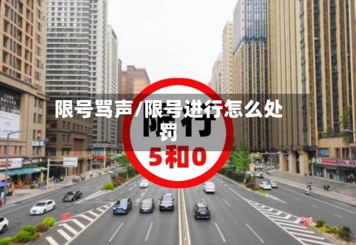 限号骂声/限号进行怎么处罚