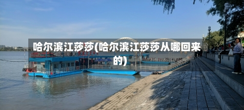 哈尔滨江莎莎(哈尔滨江莎莎从哪回来的)