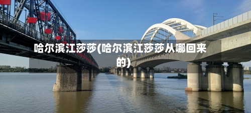 哈尔滨江莎莎(哈尔滨江莎莎从哪回来的)-第2张图片