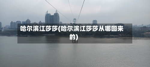 哈尔滨江莎莎(哈尔滨江莎莎从哪回来的)-第3张图片
