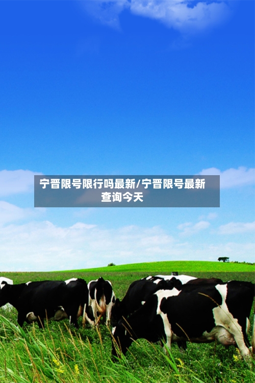 宁晋限号限行吗最新/宁晋限号最新查询今天
