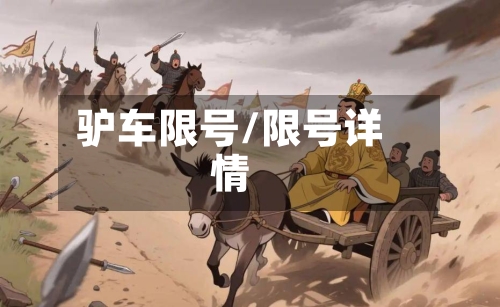 驴车限号/限号详情