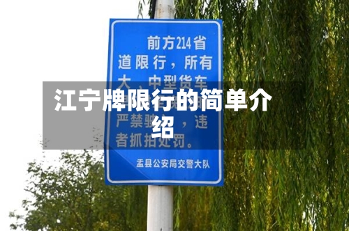江宁牌限行的简单介绍-第3张图片