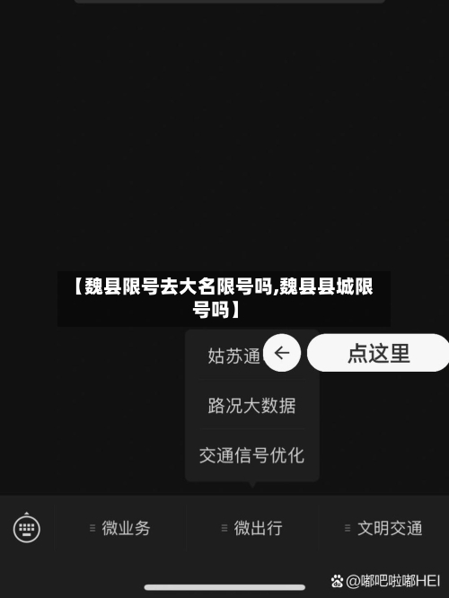 【魏县限号去大名限号吗,魏县县城限号吗】-第2张图片