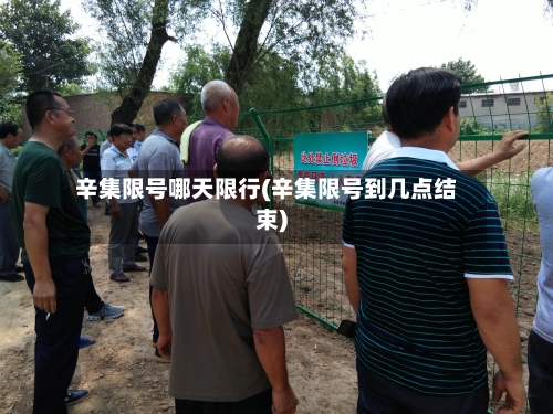 辛集限号哪天限行(辛集限号到几点结束)