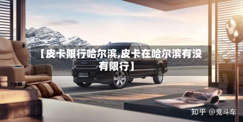 【皮卡限行哈尔滨,皮卡在哈尔滨有没有限行】-第2张图片