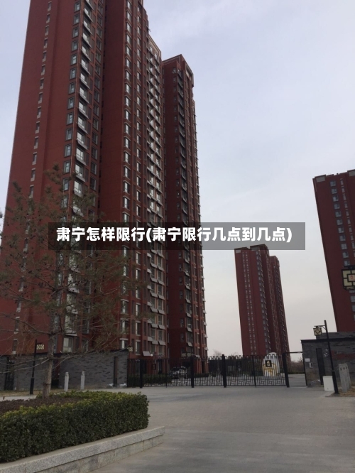 肃宁怎样限行(肃宁限行几点到几点)