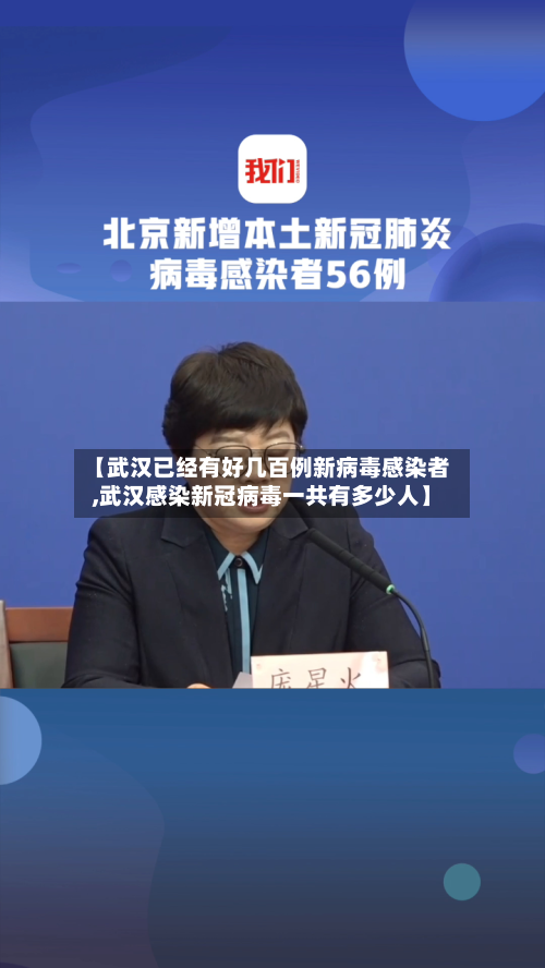 【武汉已经有好几百例新病毒感染者,武汉感染新冠病毒一共有多少人】-第3张图片