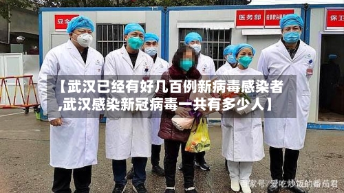 【武汉已经有好几百例新病毒感染者,武汉感染新冠病毒一共有多少人】-第2张图片