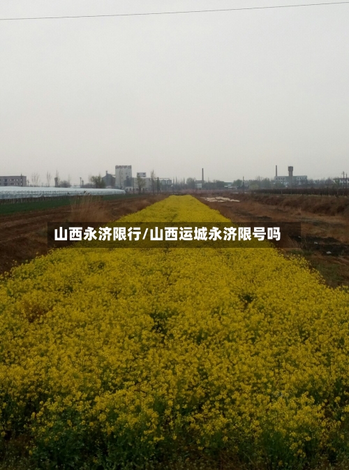 山西永济限行/山西运城永济限号吗-第2张图片