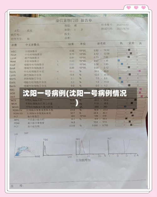 沈阳一号病例(沈阳一号病例情况)