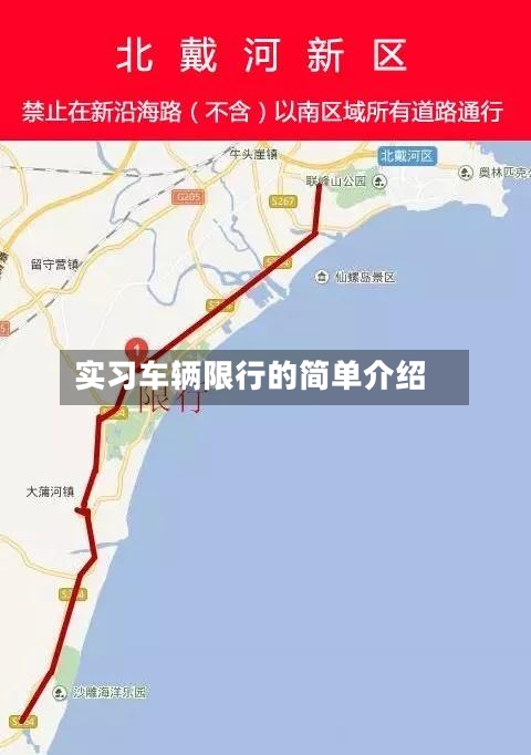 实习车辆限行的简单介绍