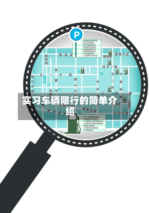实习车辆限行的简单介绍-第2张图片