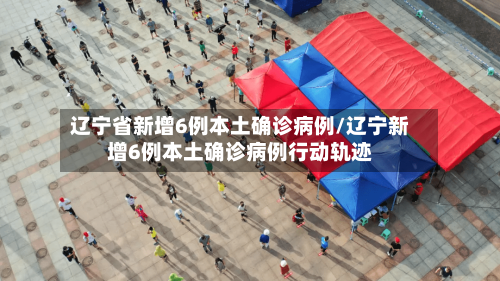 辽宁省新增6例本土确诊病例/辽宁新增6例本土确诊病例行动轨迹-第3张图片