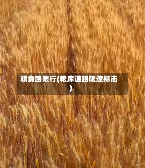 粮食路限行(粮库道路限速标志)