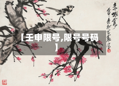 【壬申限号,限号号码】-第2张图片