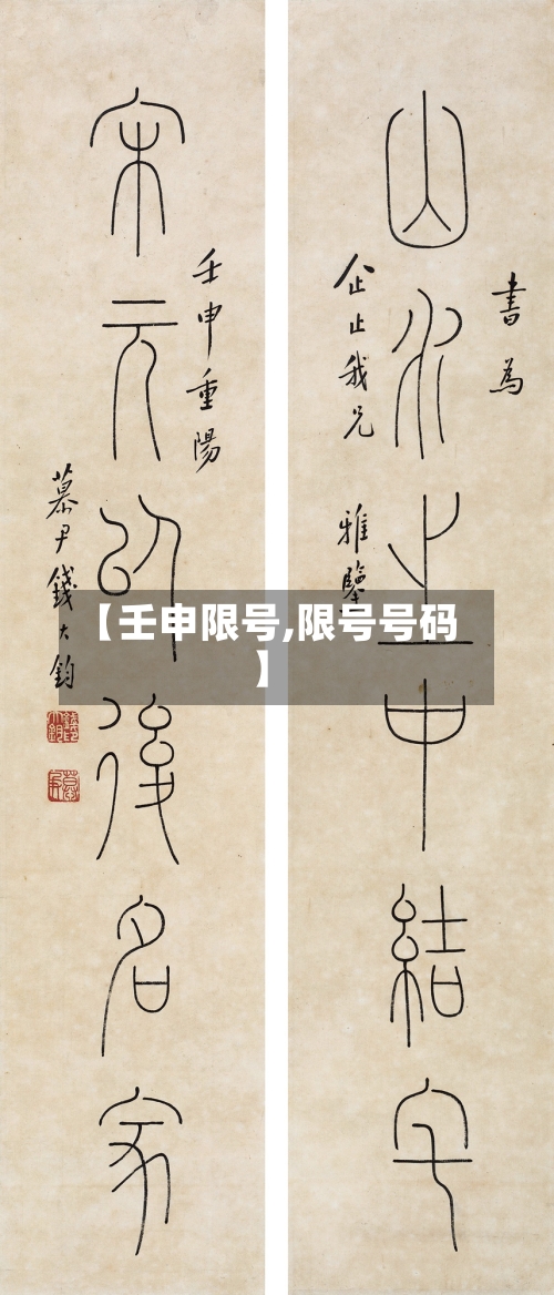 【壬申限号,限号号码】-第3张图片