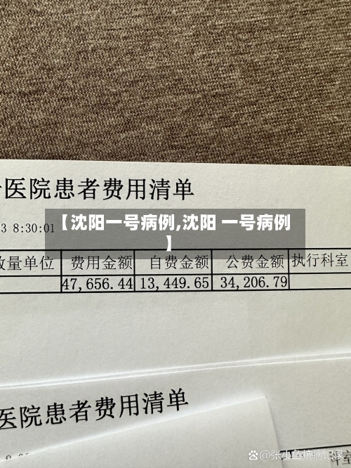 【沈阳一号病例,沈阳 一号病例】