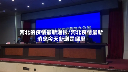 河北的疫情最新通报/河北疫情最新消息今天新增是哪里-第2张图片