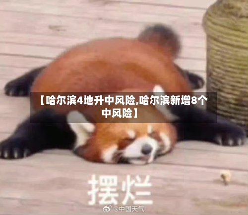 【哈尔滨4地升中风险,哈尔滨新增8个中风险】