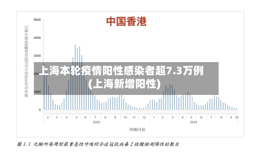 上海本轮疫情阳性感染者超7.3万例(上海新增阳性)-第2张图片