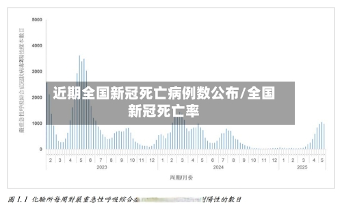 近期全国新冠死亡病例数公布/全国新冠死亡率