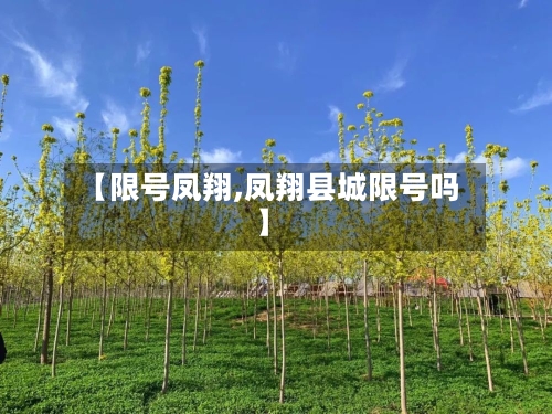 【限号凤翔,凤翔县城限号吗】