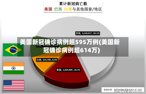 美国新冠确诊病例超595万例(美国新冠确诊病例超614万)